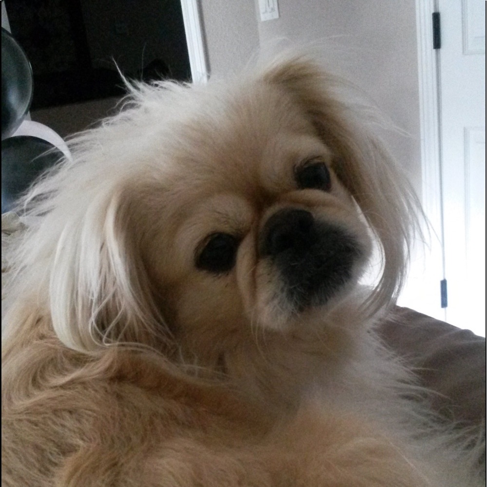 Meet your Posher, Lisa